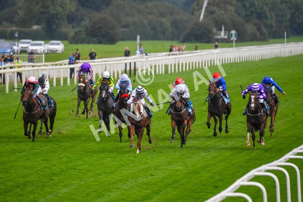 100923-Race 7-Looking For Lynda-1218 - Race 7 4.55pm Brian Taylor 50 Not Out Apprentice Handicap