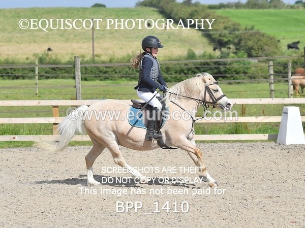 BPP_1410 - DERBY CLASS 2 - 30CM