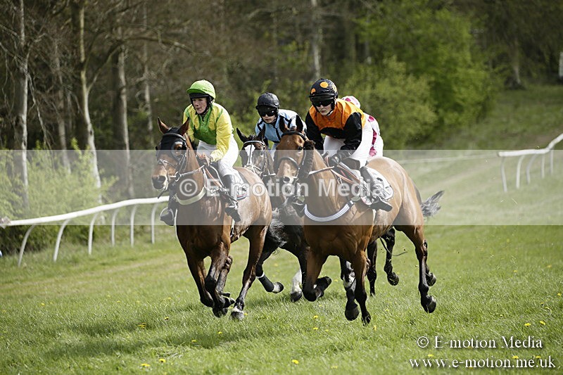 PtP 170417 291 - Old Berks Point-to-Point Lockinge 17/04/17