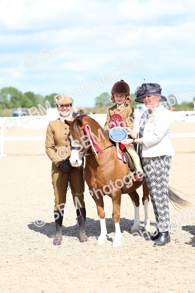 SBM_13113 - Class 309 - Lead Rein Pony