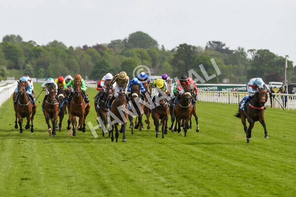 yr13052022r6-32 - Race 6 4.45pm Yorkshire Equine Practice Stakes