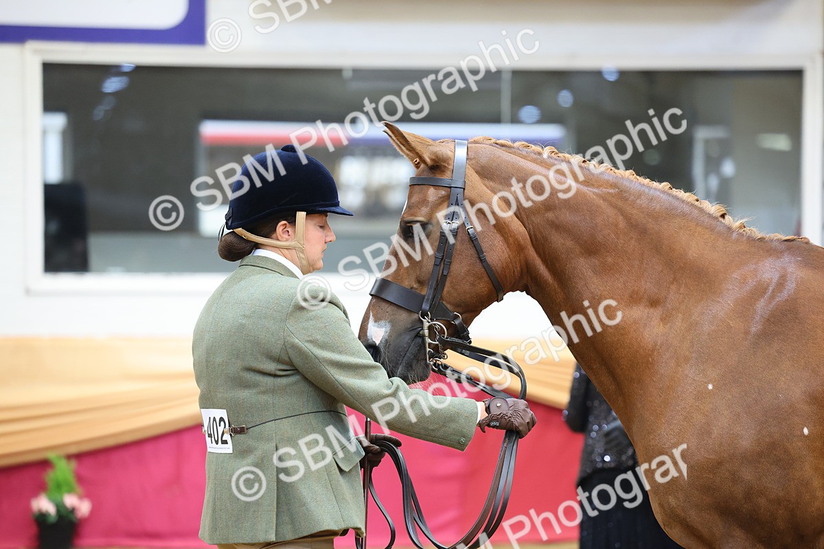 SBM_22746 - Class 903 - Supreme Final - IH Pre Vet