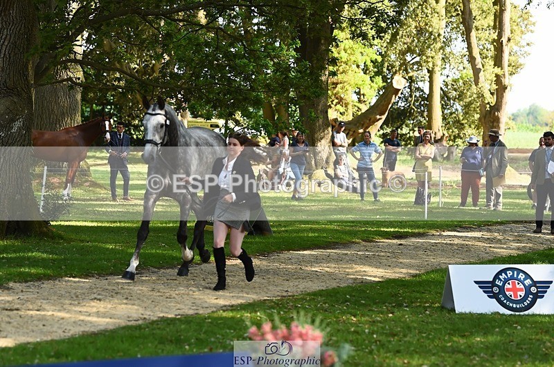 230524-170234-01247 - 130-CFH_DAKAR_HILL-Millie_Juleff-WEDTrotUp+DR