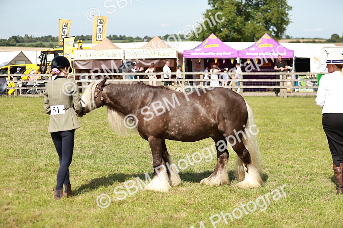 SBM_08816 - Class 63-65 - Traditional Gypsy Cobs In Hand & Ridden