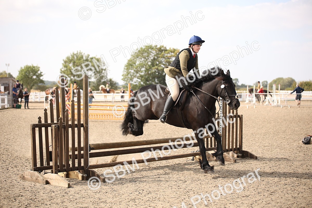 SBM_14994 - Class 408a - Working Veteran 70cm (15-19