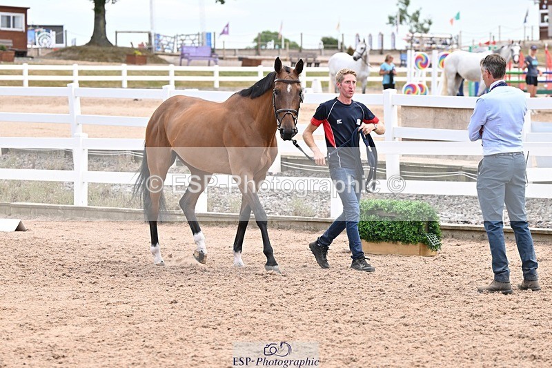 250716-142050-01032 - Trot Up 1.30 to 2.30