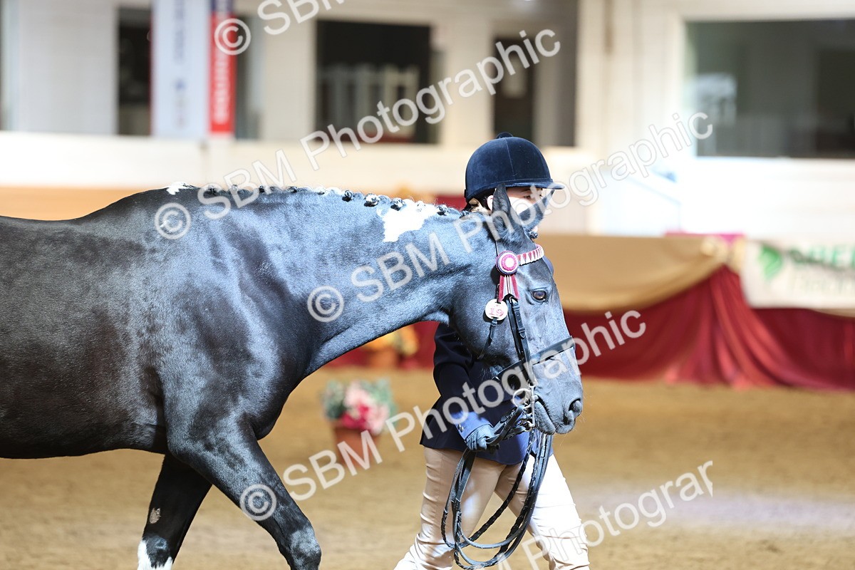 SBM_23339 - Class 903 - Supreme Final - IH Pre Vet