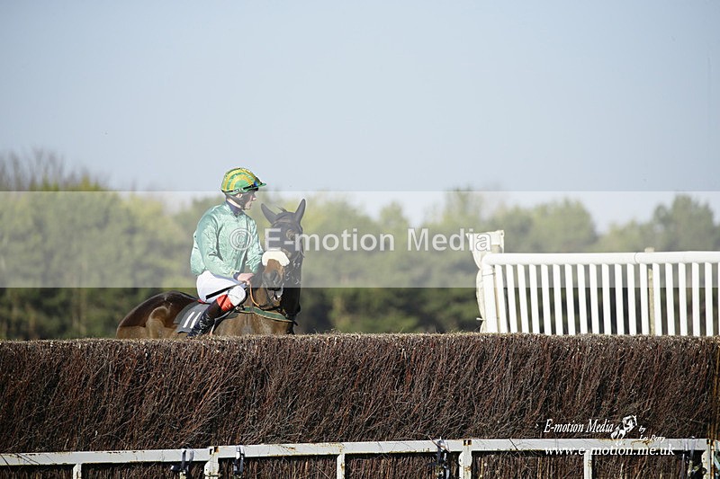 PtP 270222 268 - South & West Wilts Point-to-Point Larkhill 27/02/22