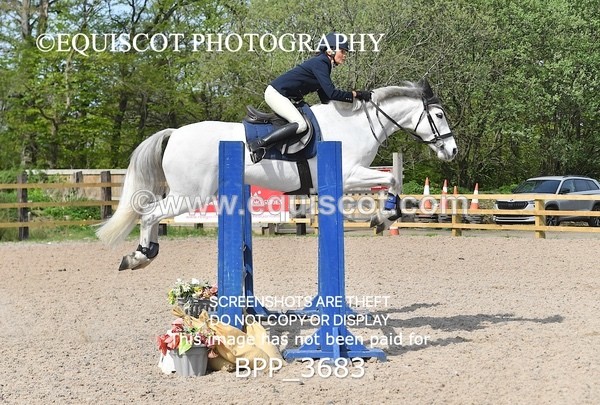 BPP_3683 - CLASS 2 Club/ Unaffiliated 80cms Open