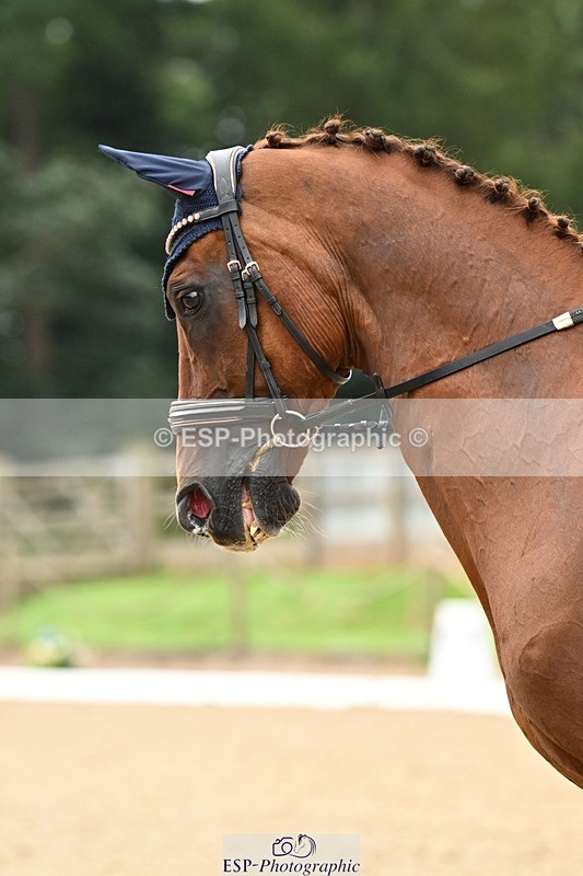 240811-101653-04978 - 110-Helen.Kitto-Da.Vinci.IV