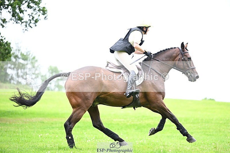 240803-121615-03121 - 114-Amanda_Wreford-Brown-MIDSUMMER_DAZZLE