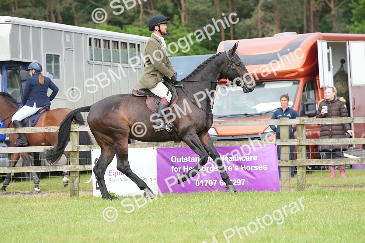 SBM_12659 - Class 97-98 - LIHS BSHA Rising Star Working Show Horse Hunter