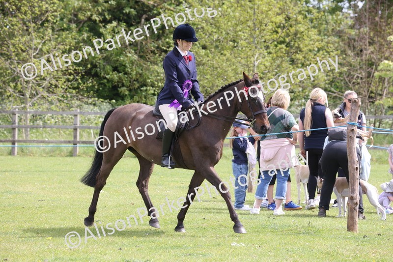20260426-4062 - Class 33 - Best Pony 14.2hh and Under