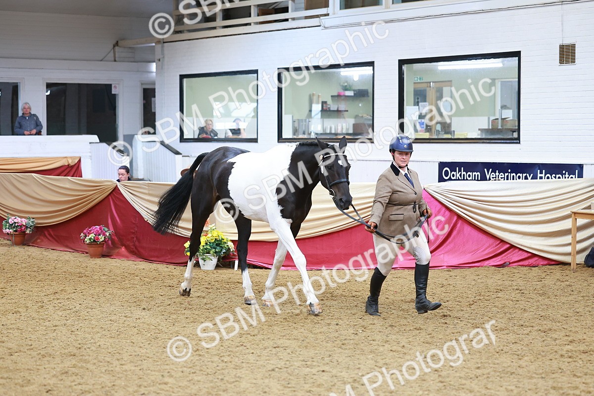 SBM_09798 - Class 102 - HOYS Veteran Qualifier - Ridden Veteran