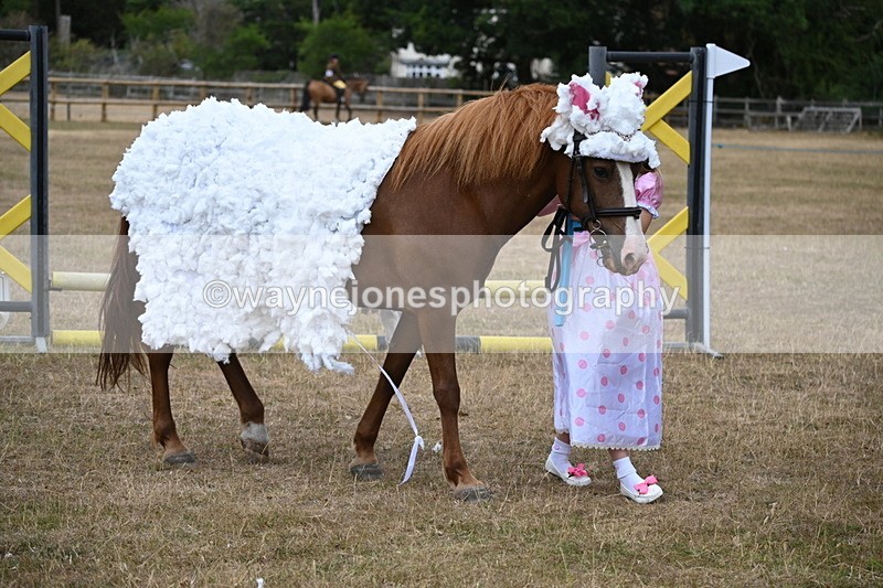 WJ6_8711 - Class 11 Fancy Dress