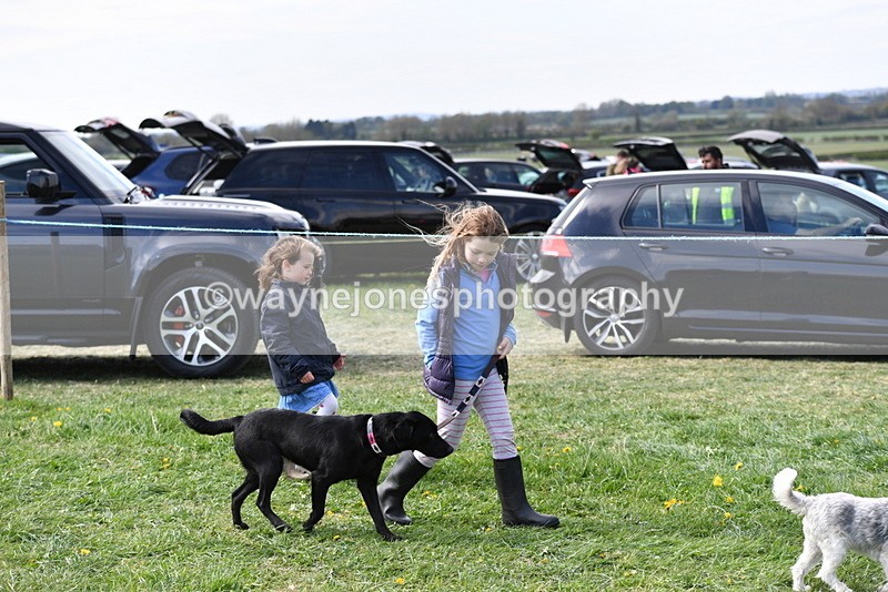 WJ5_0719 - Best in Show Championship