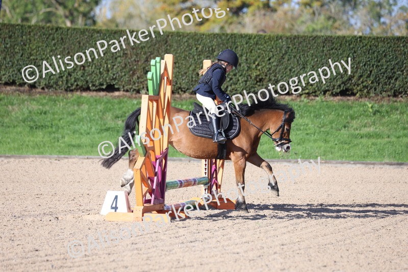 20251005-0051 - Class 1 - 40cm