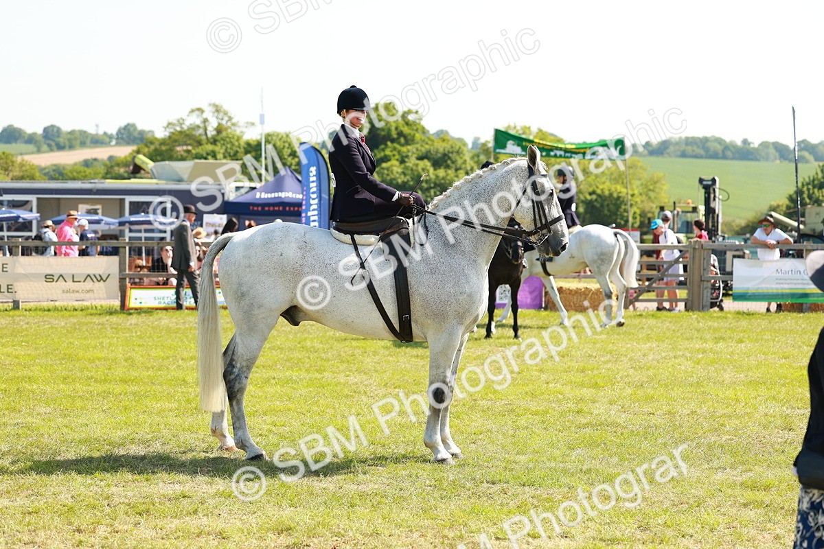 SBM_13198 - Class 70-71 - Side Saddle