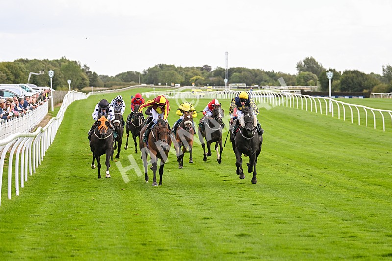 100924-Race 2-Keldeo-0003 - Race 2