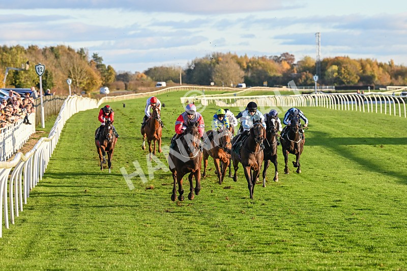 291024-Race 6-Count DOrsay-6319 - Race 6