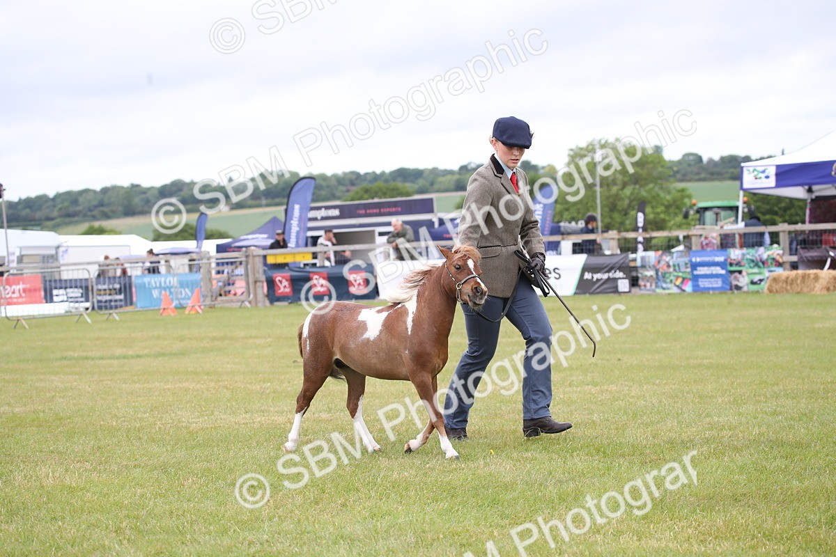 SBM_03506 - Class 23-25 - British Miniature Horse of the Year