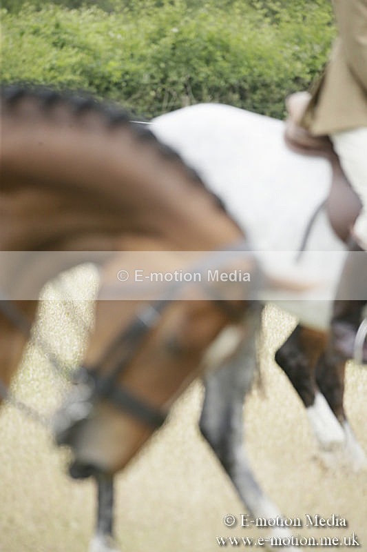B230619-0955 - Bourne Valley Riding Club Summer Show 23/06/19