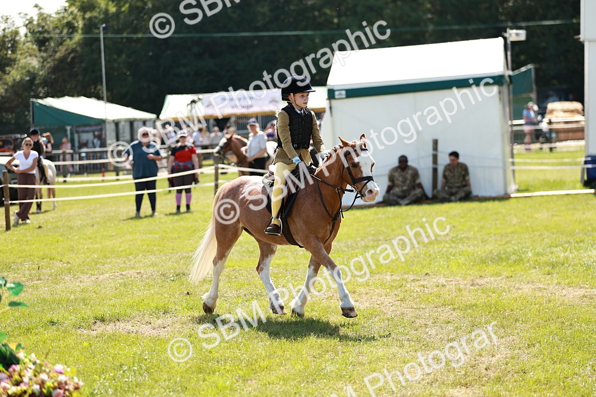 SBM_13595 - Class 108-109 - BSPS LIHS Open Gradle & Nursery Stakes
