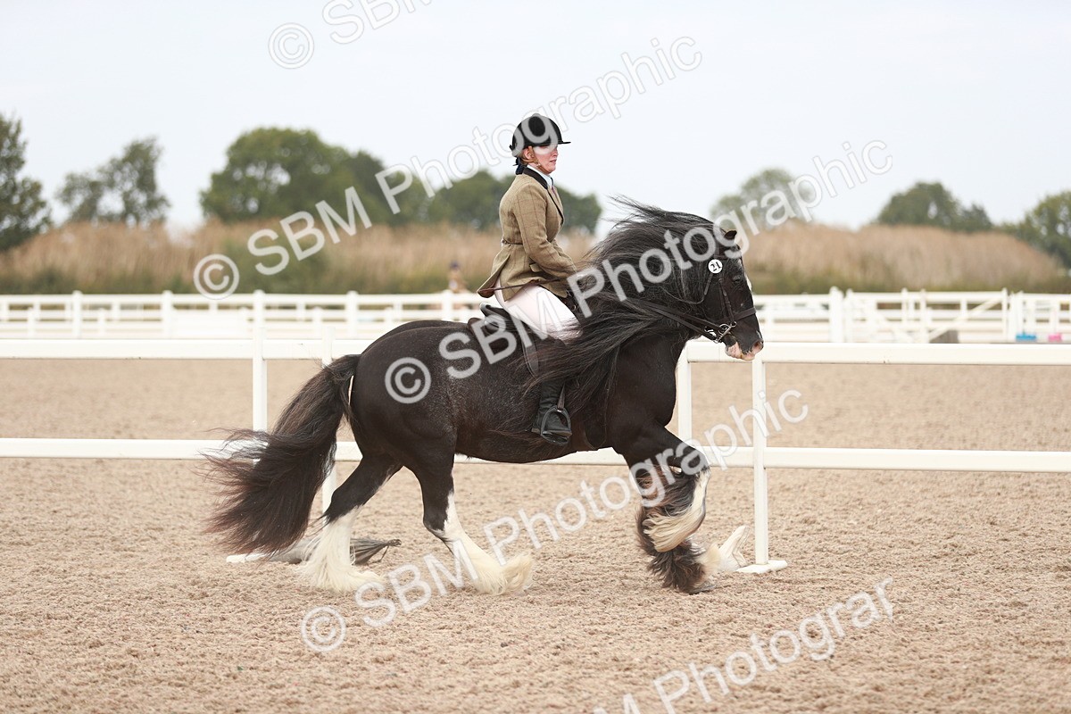 SBM_16674 - Class 214 Ridden Cob