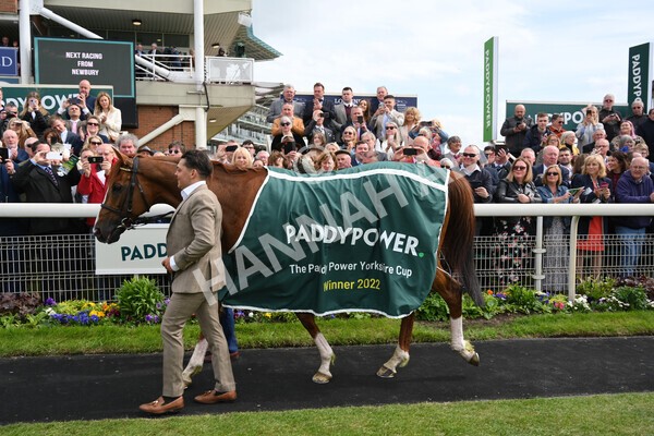 yr13052022r4-124 - Race 4 3.35pm The Paddy Power Yorkshire Cup (British Champions Series Race)