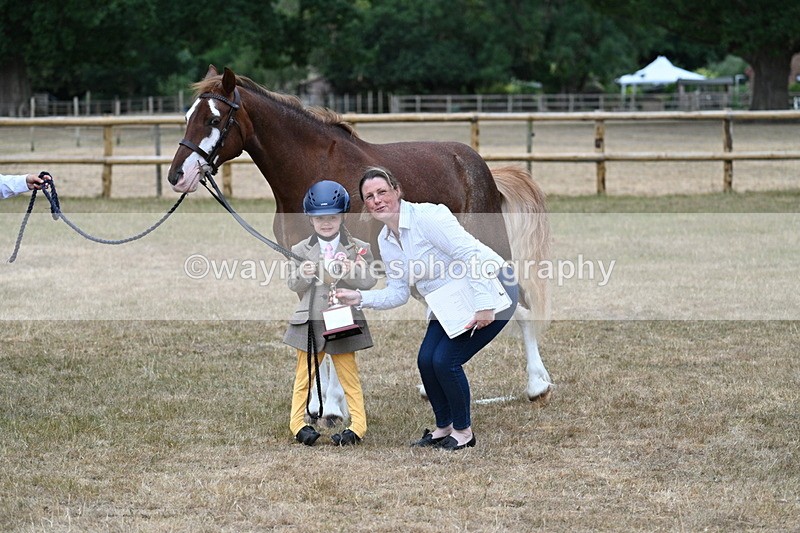 WJ7_9359 - Prettiest Mare Champs
