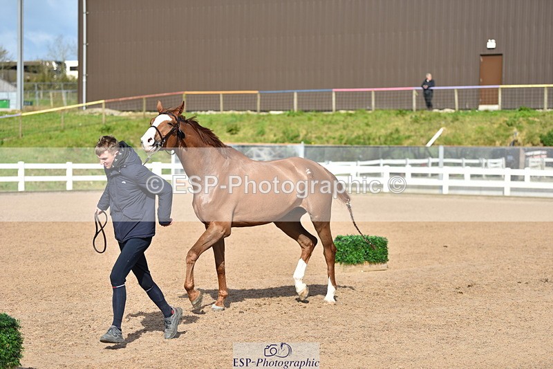 240417A-163048-01238 - 4pm to Finish