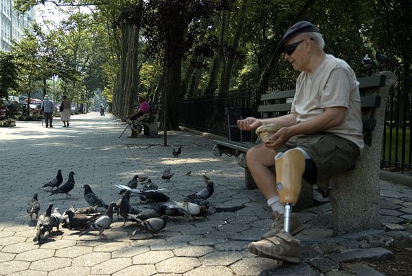 Assignment 2 - Pigeons - 2006 Finalist in Popular Photography's Photographer of the Year