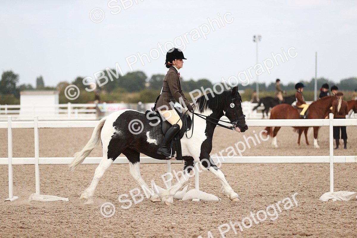 SBM_16628 - Class 214 Ridden Cob