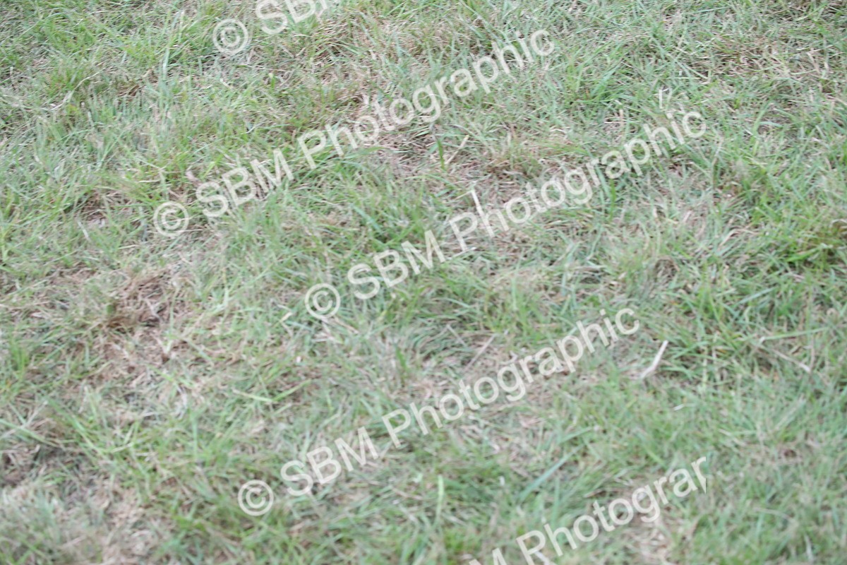 SBM_09920 - Ch 50 - Price Family Supreme In Hand