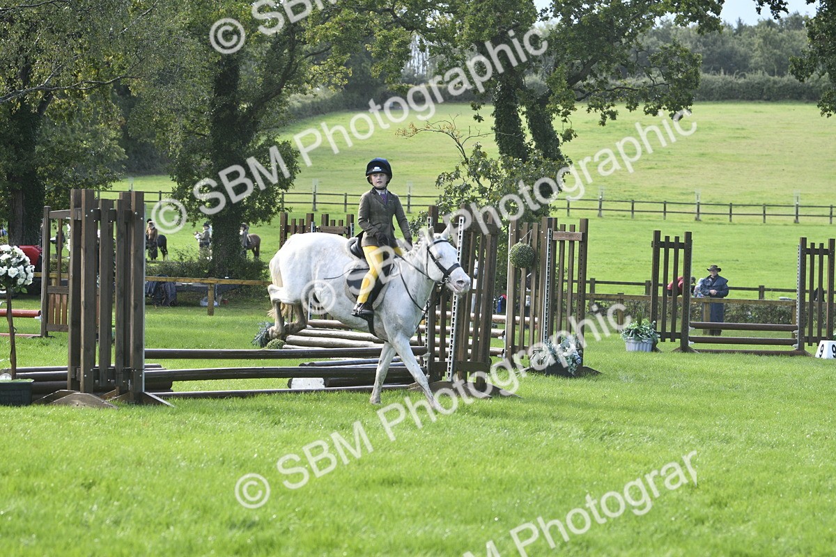 SBM_37208 - S31 - Novice & Newcomer Working Hunter Pony