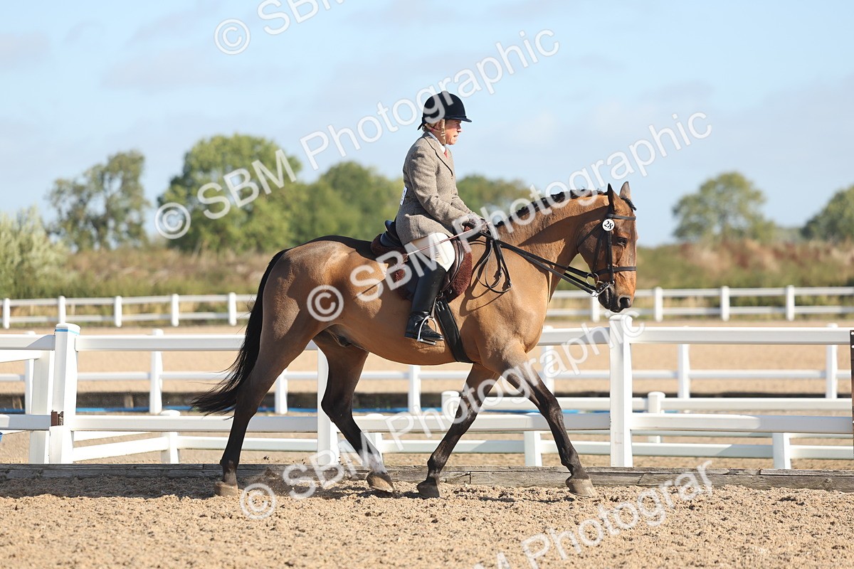 SBM_22287 - Class 803 - Ridden Combination 65+