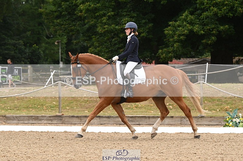 250720A-103156-09581 - 104-Molly.Northmore-Pennmoor.Liberation