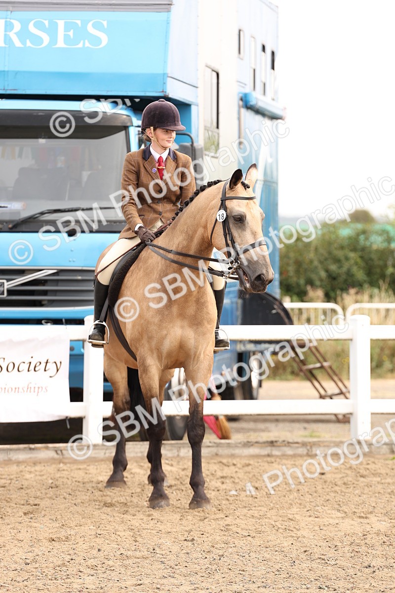 SBM_01592 - Class 52 - Ridden Veteran