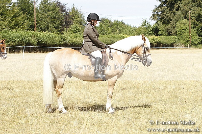 _BS_0804 - BVRC Show 2018 Ring 1