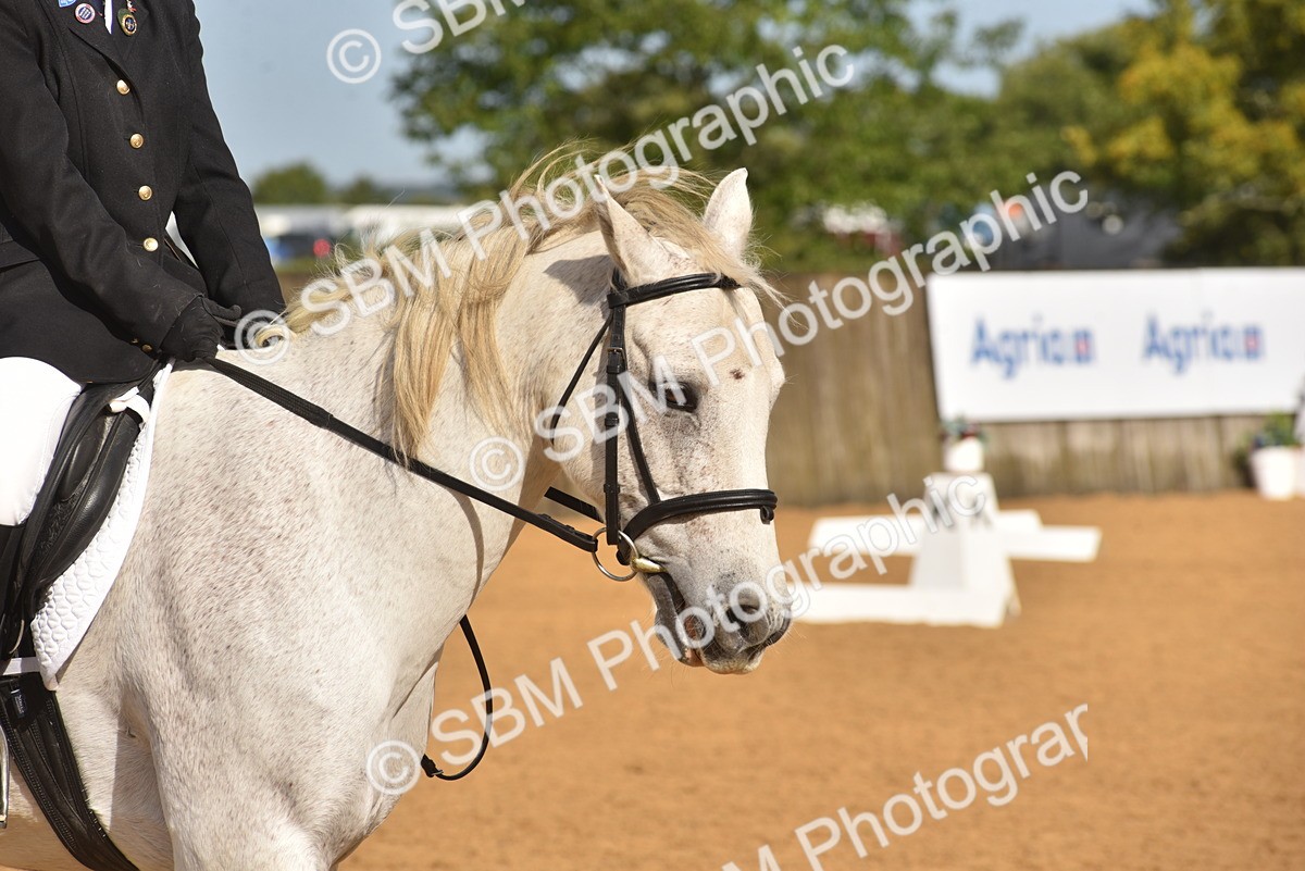 SBM_02177 - D7 - Small Tour Championship Prelim 2