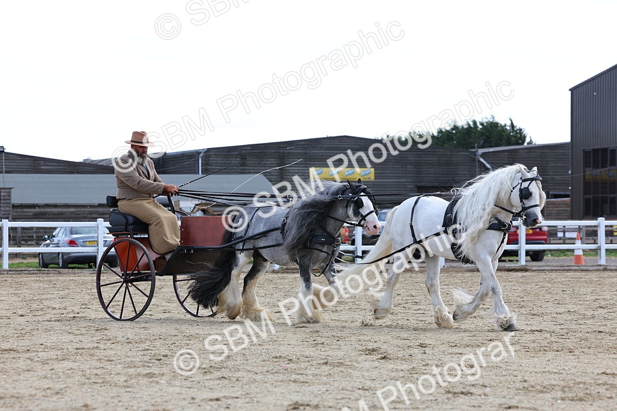 SBM_001173 - Class 16 - Pairs ,Multiples and Tandems