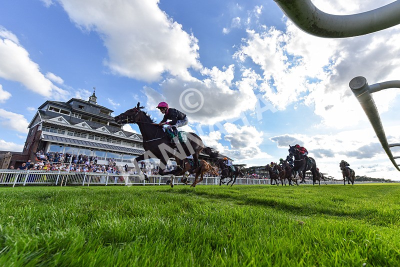 140926-Race 6-Fractional-2-2 - Race 6 4.51pm Join Racing TV Today Fillies' Handicap