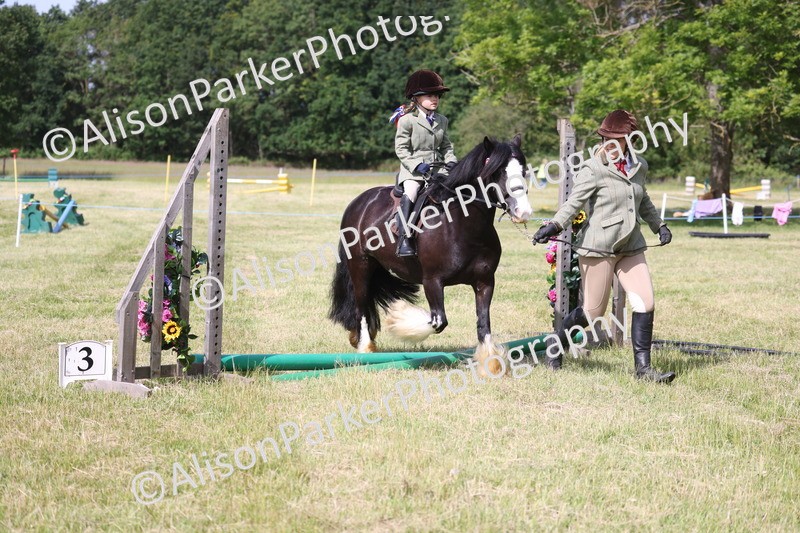 20260614-0616 - Class 20 - Beginners Working Hunter Pony