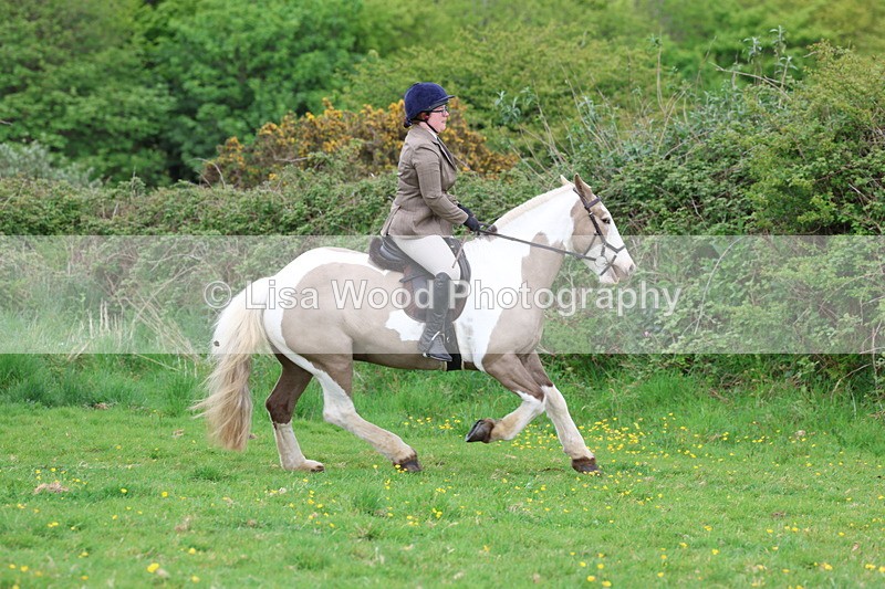 3E7A1450 - Class 8: Ridden Veteran Junoir and Senior