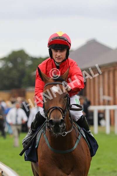 yr19082022r4-85 - Race 4 3.35pm Coolmore Wootton Bassett Nunthorpe Stakes (British Champion Series Race)