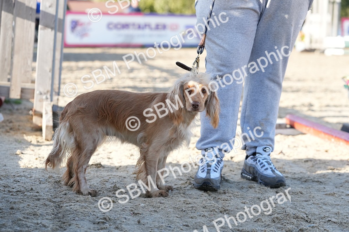 SBM_28978 - J43 - Horse & Hound Open 50cm