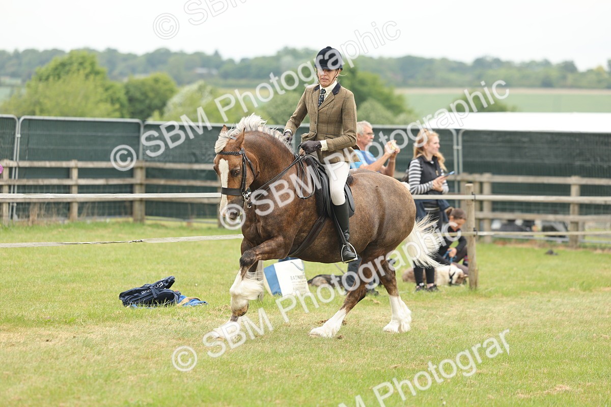 SBM_07216 - Class 76-77 - Ridden M&M Welsh Ponies