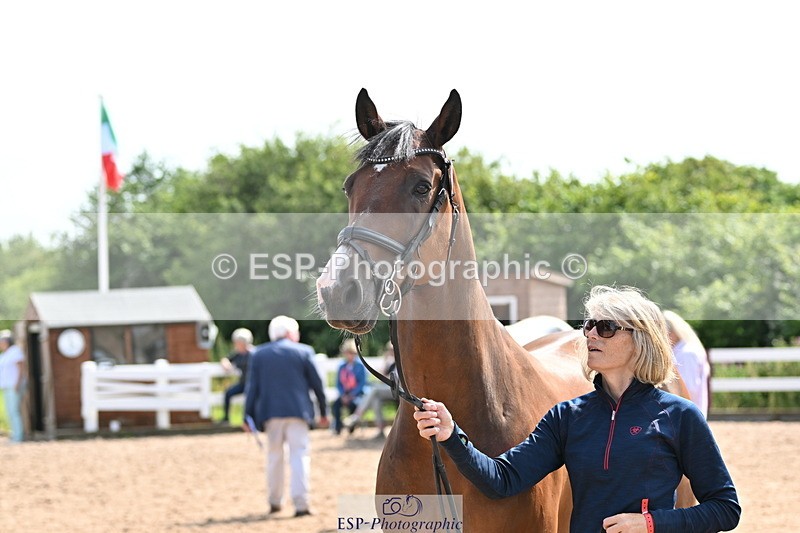 240717A-155805-03227 - Trot Up 3pm to 4pm