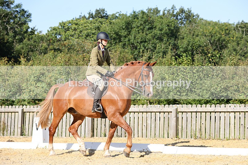 1X9A7706 - Class 9: Open Ridden Hunter