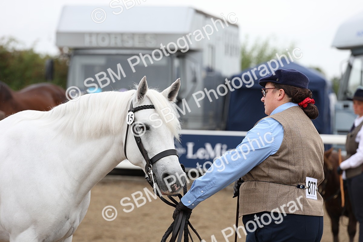 SBM_00087 - Class 50 - Best Turned Out IH